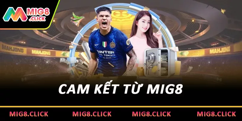 Cam kết từ MIG8